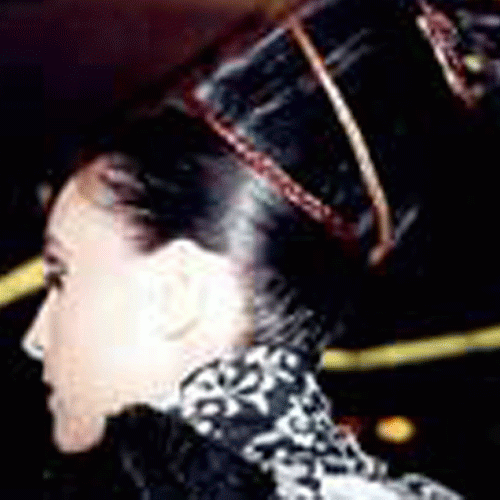 Recogido de pelo