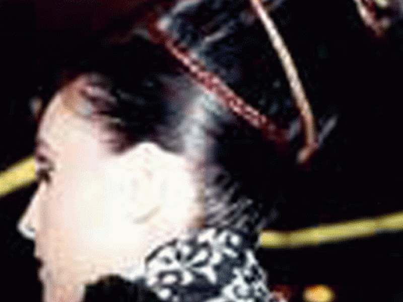 Recogido de pelo